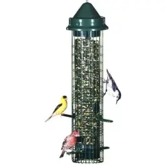 Green Squirrel Proof Bird Feeder with 1.4 Qt Seed Capacity and Easy Clean Design