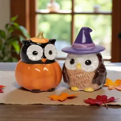 Ceramic Witch Owl And Pumpkin Owl Salt And Pepper Shakers, Gift for Her, Gift for Mom, Kitchen D&eacute;cor, Fall D&eacute;cor, Halloween D&eacute;cor