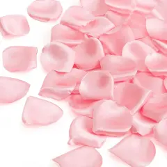 300pcs Silk Rose Petals Blush Pink Heart Flower Petals for Wedding Flower Girl Basket