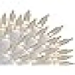 Incandescent Mini String Light