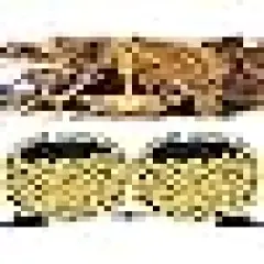 Christmas String Lights Green Wire