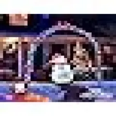 Solar Christmas Fairy Lights Outside