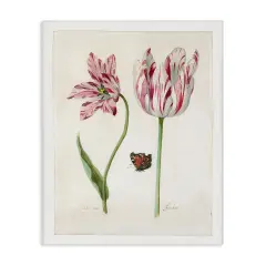 Stupell Industries Classic Tulip & Butterfly Canvas Wall Art Design by Jacob Marrel