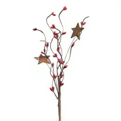 Mix Pip Berries & Star Pick Bright Red