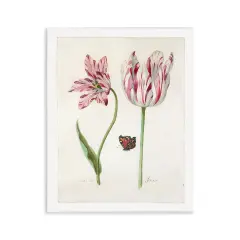 Stupell Industries Classic Tulip & Butterfly Wall Plaque Art Design by Jacob Marrel