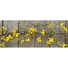 Star Forsythia Garland 4ft Yellow Blooms Pip Berries and Twigs for Spring Decor