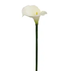 21" Real Touch Calla Lily Stem - 6 PACK