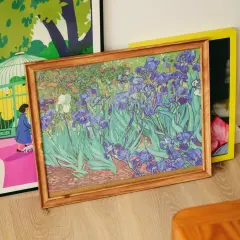 Irises, Vincent van Gogh