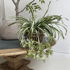 Artificial Chlorophytum Fake Spider Plant Decorative Silk Plant Indoor Wall Hanging Plants for Home Garden Verandah