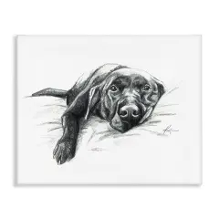 Stupell Industries Naptime Black Labrador Canvas Wall Art Design by Lindsay Kivi Fine Art