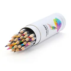 Colored Pencils 24 Coloring Pencils Premium Art Drawing Pencil for Adults Coloring Book