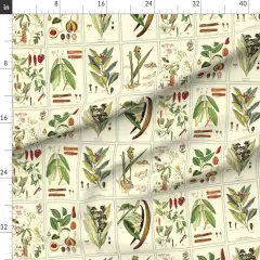 Various Fabrics by the Yard or Fat Quarter Herb, Botanical, Spices, Green, Brown, Ecru, Food, Illustration, Custom Printed Fabric by Spoonflower