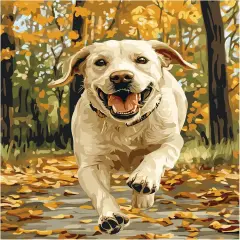 Labrador Retriever Paint by Numbers for Adults, Labrador Retriever Dog Acrylic Painting, Dogs Running Paint by Number