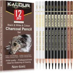 Professional Colored Charcoal Pencils Drawing Set,12 Pieces Pastel Chalk Pencils for Sketching, Shading, Blending, Portrait, Black White Charcoal Pencils for Beginners & Artists