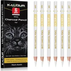White Charcoal Pencils Drawing Set, Professional 6 Pieces White Sketch Pencils for Drawing, Sketching, Shading, Blending, Chalk for Beginners & Artists