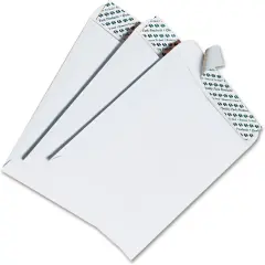 6 x 9 Catalog Envelopes with Self Seal Closure, for Mailing, Storage and Organizing, 28 lb. White Wove, 100 per Box (QUA44182)