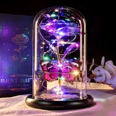 Mothers Day Flower Mom Gifts from Daughter Purple Rose Eternal Flower Light Up Rose in Glass Dome with Butterfly Birthday Gifts for Women Thanksgiving Anniversary Grandma Girlfriend Wife Gift for Her