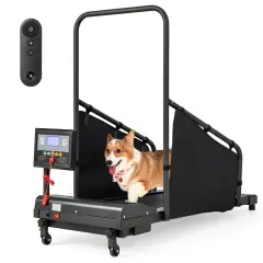 Black Metal Dog Treadmill with LCD Display, Remote Control and Safety Features