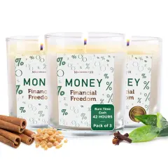 Magnificent 101 Set of 3 Long-Lasting Money Financial Freedom Smudge Candles | 3.5 Oz Each - 42 Hour Burn | Made of Soy Wax, Sage Herbs for House Energy Cleansing & Manifestation Multicolor