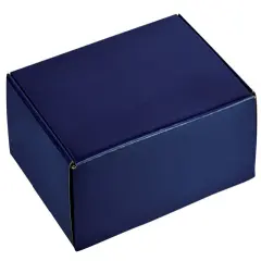 Pack/6: Navy Blue Decorative Mailer - 12 x 9 x 3"