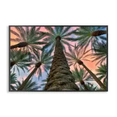 Stupell Industries Tall Overhead Palms Framed Giclee Wall Art Design by Dennis Frates