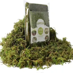 Fake Green Moss for Potted Plants, 4OZ Artificial Moss for DIY Crafts, Faux Moss for Table Centerpieces Fairy Garden Decor