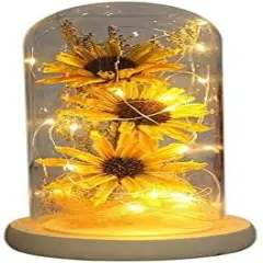 Sunflower in Glass Dome Gifts for Women Enchanted Flower with LED Light Enchanted Gift for Women on Christmas Valentine's Day Mother's Day Anniversary Birthday Thanksgiving