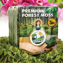 Dried Moss for Potted Plants, Forest Orchid Moss for Potting Mix, Sphagnum Potting Moss for Plants Indoor, Real Moss Soil Cover for Houseplant