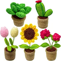 5PCS Crochet Kit for Beginners, Learn to Crochet Kits for Adults and Kids, Starter Craft Knitting Flower Kit