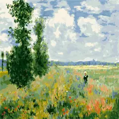 Paint by Numbers Poppy Landscape Kit for Adults Beginner DIY Oil Painting 16x20 inch (Poppy Field, No Frame)