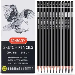 Professional Drawing Sketching Pencil Set - 12 Pieces Graphite Pencils(14B - 2H), Ideal for Drawing Art, Sketching, Shading, Artist Pencils for Beginners & Pro Artis