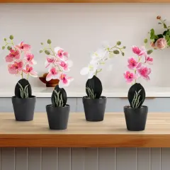 4PCS Silk Artificial Orchid Flowers Stem, Faux Phalaenopsis Branches for Vase or Pot Decor - Realistic Gradient Color, Home Office Wedding D&eacute;cor