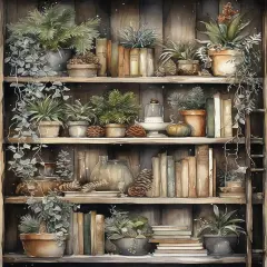 DIY Paint by Numbers, Many Plants Adults' Paint-by-Number Kits on Canvas, Book Shelves Paint by Numbers Kit