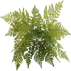 2PC 28" Leather Fern Bush With 7 Fronds Faux