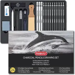 Charcoal Pencils Drawing Set, 24 Piece Black & White Charcoal Pencils for Drawing, Sketching, Shading, Blending, Artist Pencils for Kid, Beginners & Pro Artists