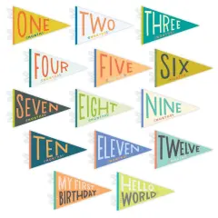 LITTLE KALEIDOSCOPE PETIT MILESTONE PENNANTS