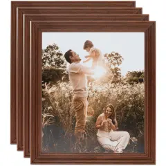 ArtToFrames 12x16 Inch Traditional Picture Frame, Multi Pack, Comes with Regular Glass (WOMPack-17-12x16)