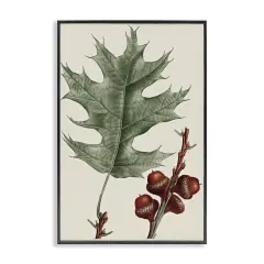 Stupell Industries Vintage Black Oak Leaf Framed Giclee Wall Art Design by Graffi*tee Studios
