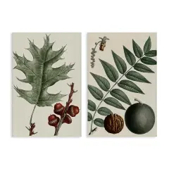 Stupell Industries Tree Leaves & Nuts 2pc Canvas Wall Art Set Design by Graffi*tee Studios