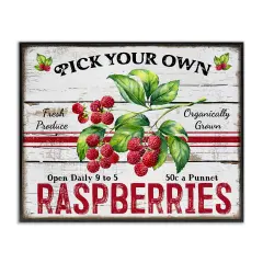 Stupell Industries Pick Your Own Raspberries Framed Giclee Wall Art Design by Creatif Belle