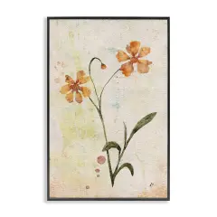 Stupell Industries Ceropsis Flower Sprig Framed Giclee Wall Art Design by Lydia Orange
