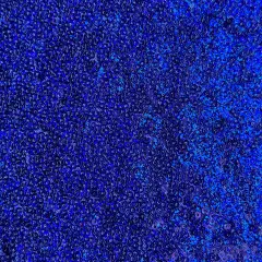 1 Yard Glitz Sequins Power Mesh Dancewear Fabric 36/60 Inch Width Hologram Royal