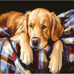 Paint by Numbers Kit for Adults - Dog on The Blanket Painting by Number on Canvas Without Frame, DIY Acrylic Art Crafts for Ideal Gift Home Wall Decor