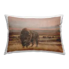 Southwestern Bison Landscape Design by Ethan Harper Throw Pillow 