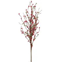 Pip Berry Spray Red/Green