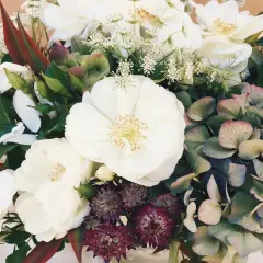 Dolce by Dolce & Gabbana type - Premium Fragrance Oil