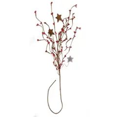 Decorative Pip & Star Spray Bright Red