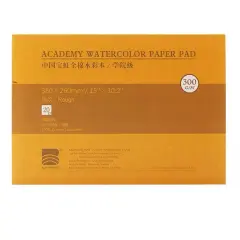 BAOHONG Academy Watercolor Paper 100% Cotton, 140lb/300gsm, Watercolor Block, 20 sheets, Rough Grain