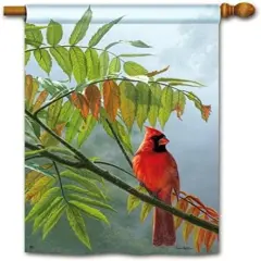 Redbird Flag 2 Sided Vertical House Banner Fall