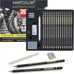 Drawing Sketching Pencil Set, 20 Pieces, Graphite Pencils (14B-4H), Charcoal Sticks, Stump, Eraser, Sharpeners, Ideal for Drawing Art, Sketching, Artist Pencils for Beginners & Pro Artists